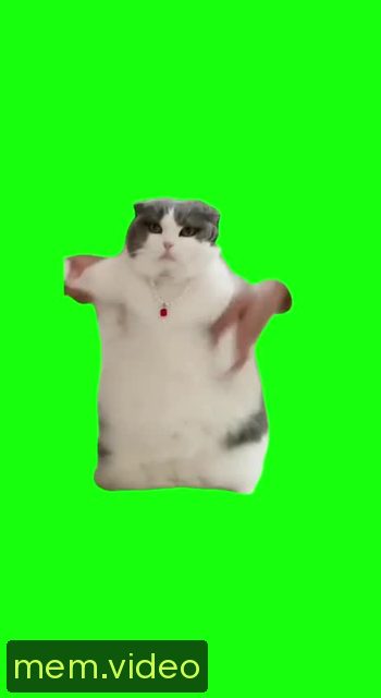 Кадр на 0:04