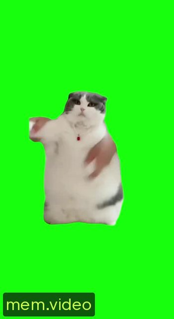 Кадр на 0:05