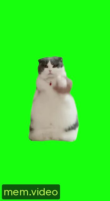 Кадр на 0:08