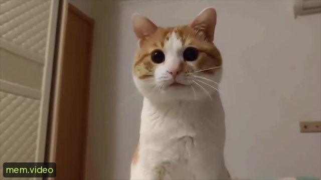Кадр на 0:01