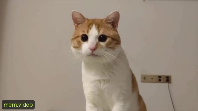 Кадр на 0:02