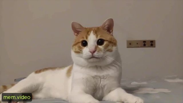 Кадр на 0:05