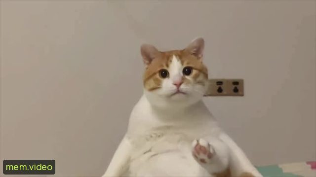 Кадр на 0:06