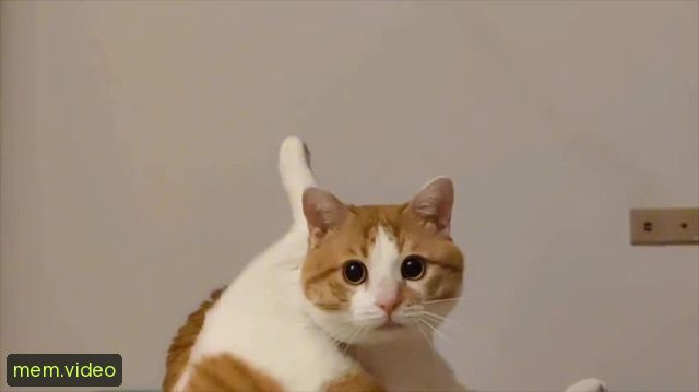 Кадр на 0:07