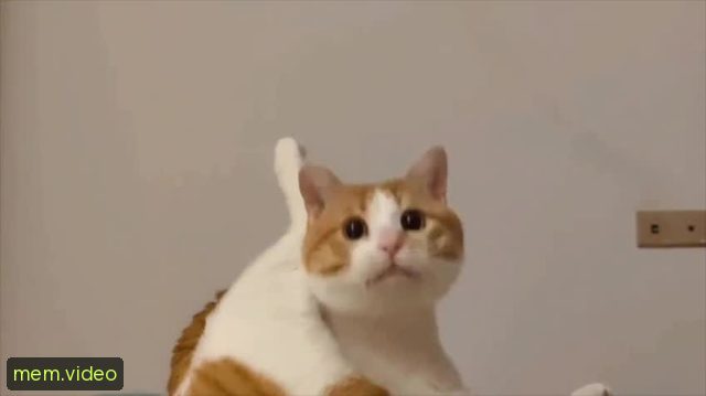 Кадр на 0:08
