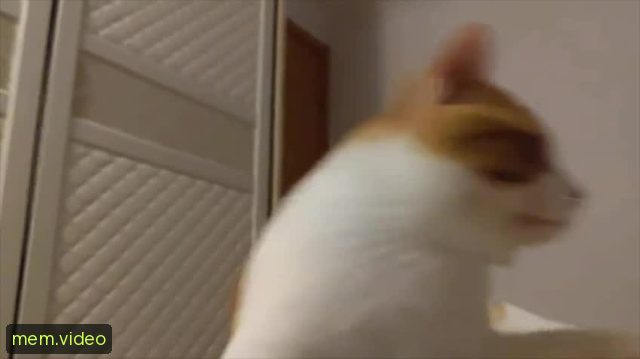 Кадр на 0:10