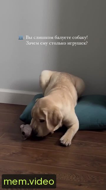 Кадр на 0:03