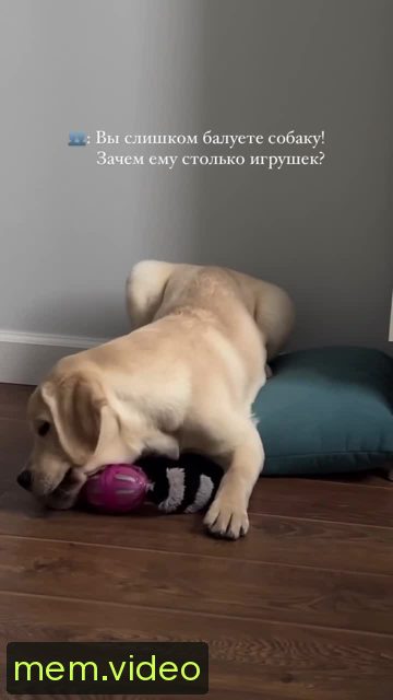 Кадр на 0:04