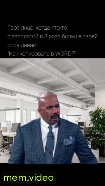 Кадр на 0:00