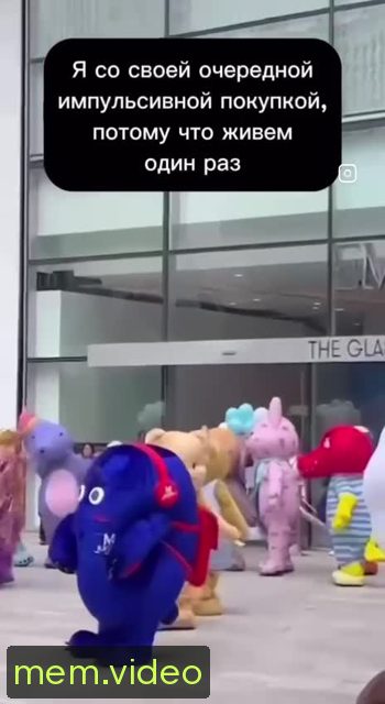 Кадр на 0:00