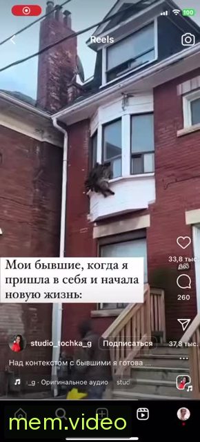 Кадр на 0:00