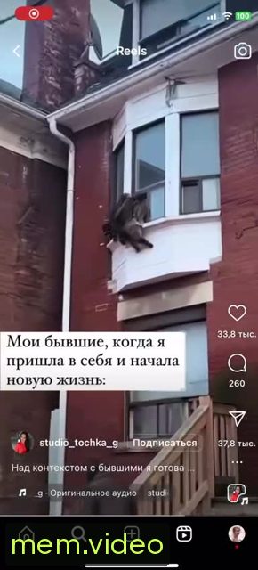 Кадр на 0:00