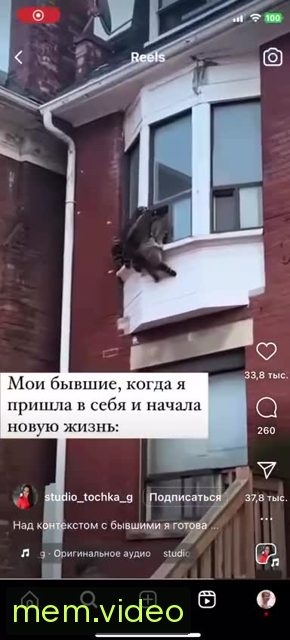 Кадр на 0:00
