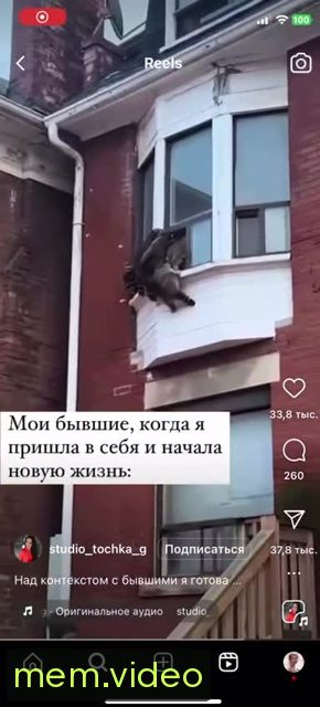 Кадр на 0:00