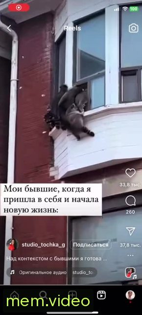 Кадр на 0:01