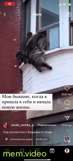 Кадр на 0:02