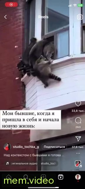 Кадр на 0:02