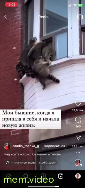 Кадр на 0:03
