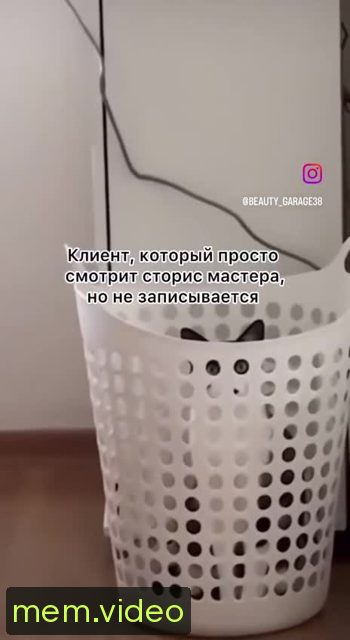 Кадр на 0:02