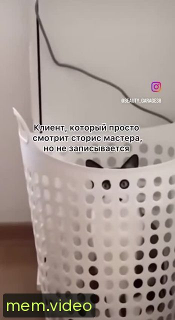 Кадр на 0:03