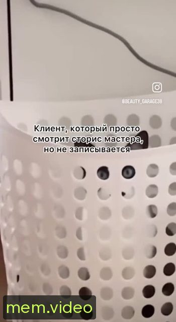 Кадр на 0:05