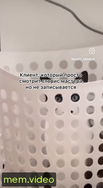 Кадр на 0:06