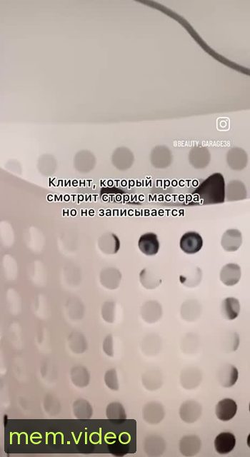 Кадр на 0:06