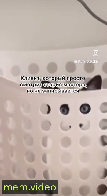 Кадр на 0:07