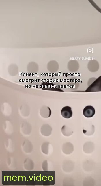 Кадр на 0:08