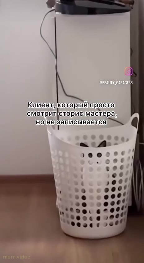 Кадр: Черный кот наблюдает из белой корзины для белья