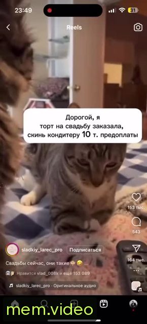 Кадр на 0:00