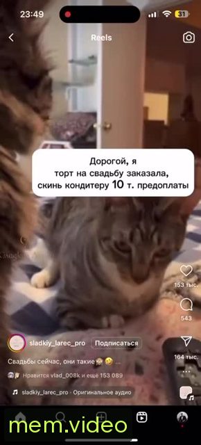 Кадр на 0:00