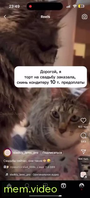 Кадр на 0:00