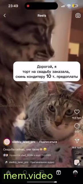 Кадр на 0:01