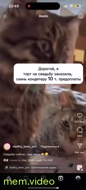 Кадр на 0:01