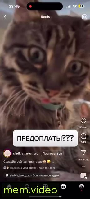 Кадр на 0:02