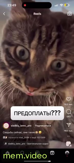 Кадр на 0:02
