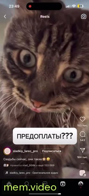 Кадр на 0:02
