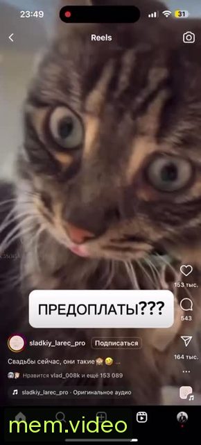 Кадр на 0:03