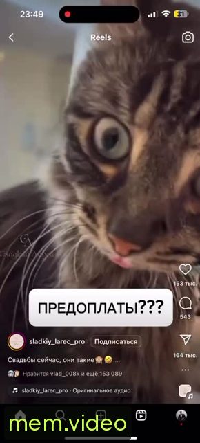 Кадр на 0:03