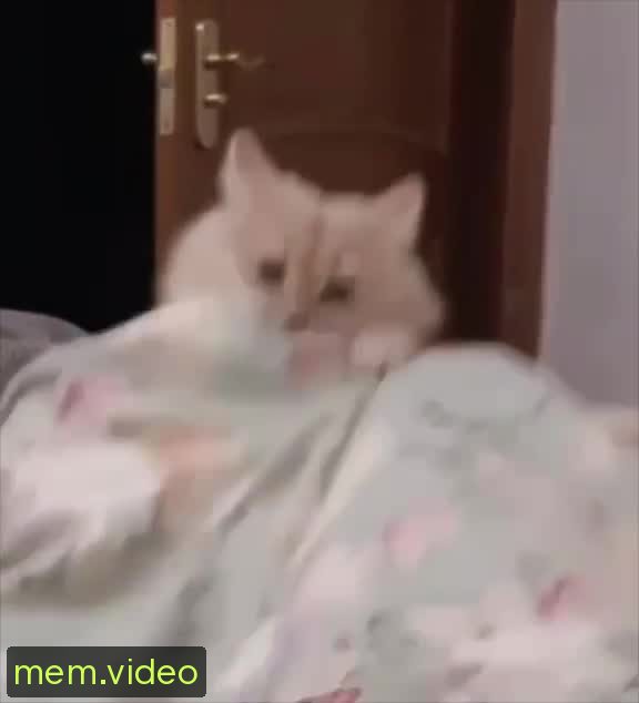 Кадр на 0:01