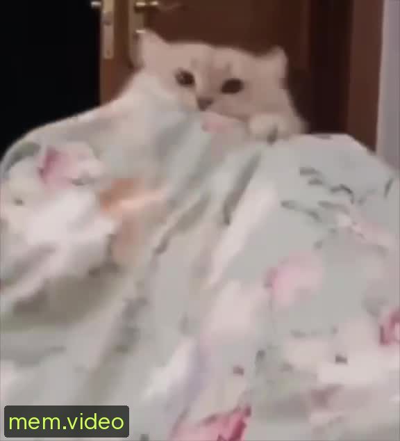 Кадр на 0:01