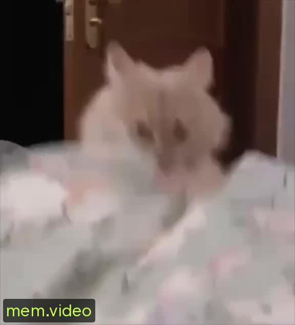 Кадр на 0:02