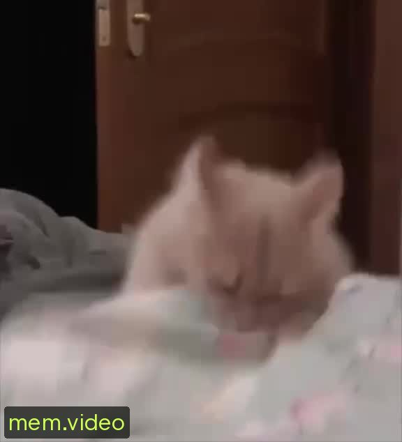Кадр на 0:02