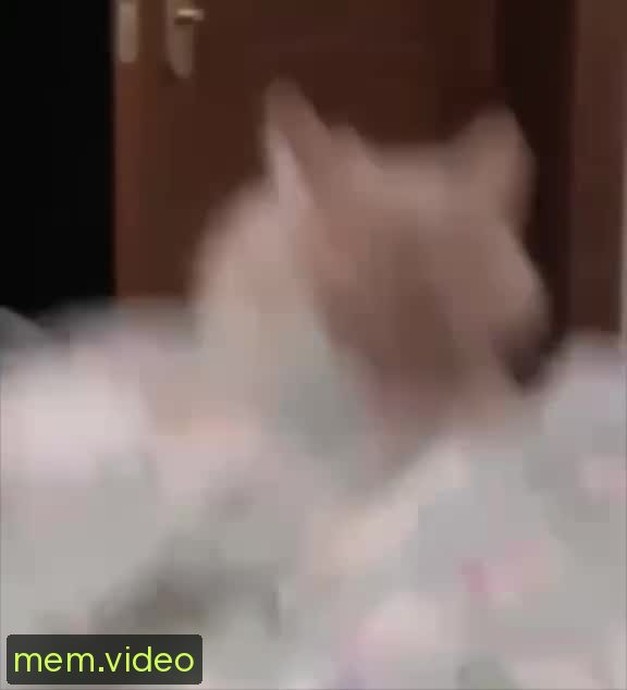 Кадр на 0:03