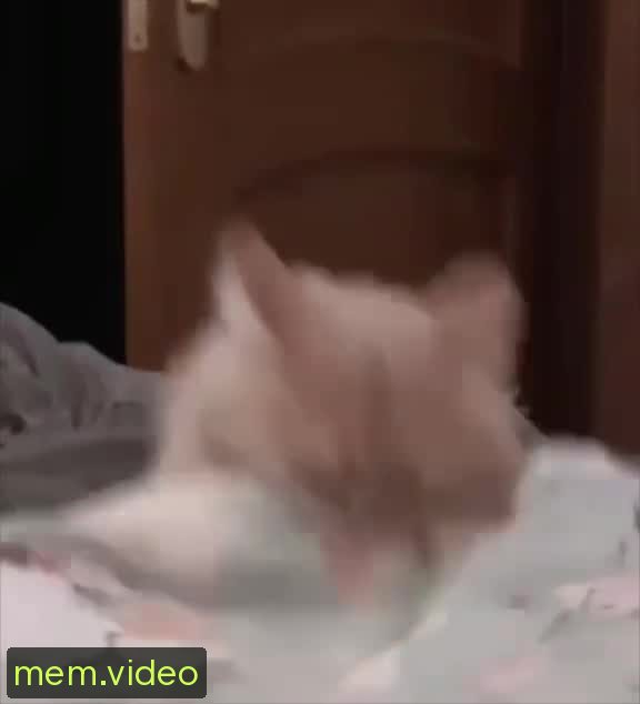 Кадр на 0:03