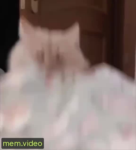 Кадр на 0:04
