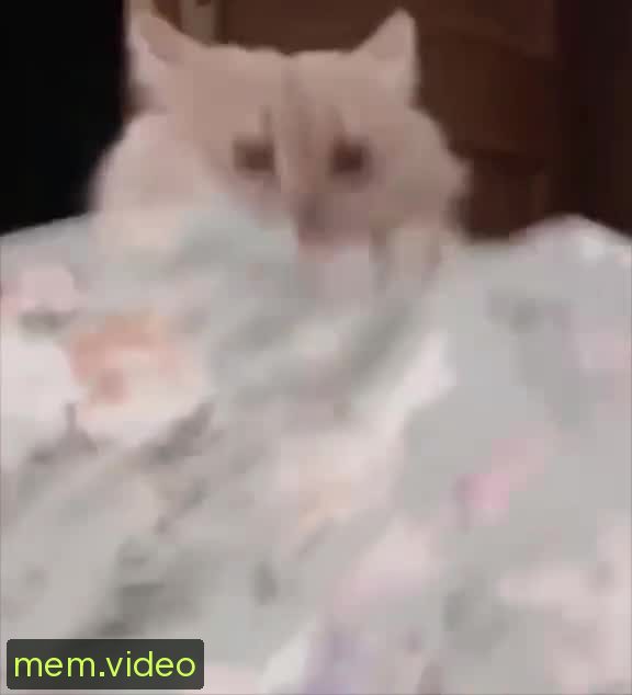 Кадр на 0:04