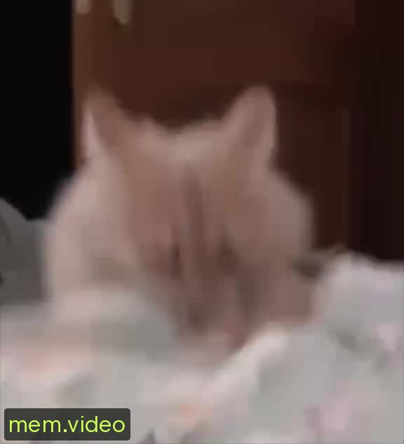 Кадр на 0:05