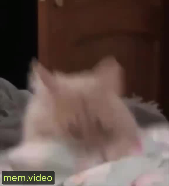Кадр на 0:05
